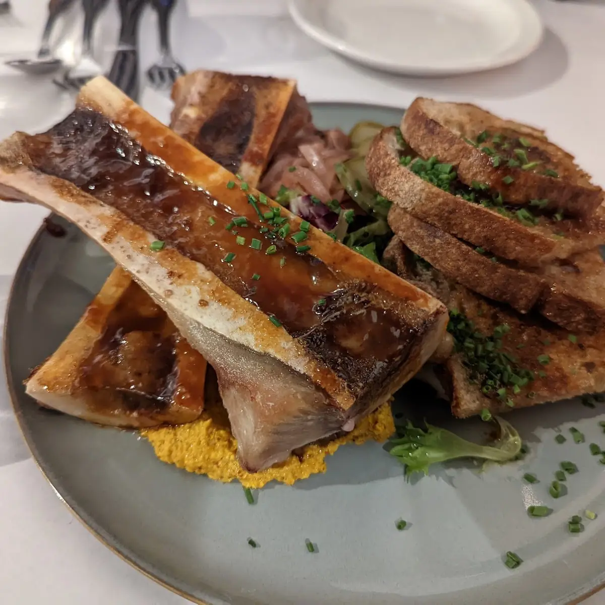 Bone Marrow
