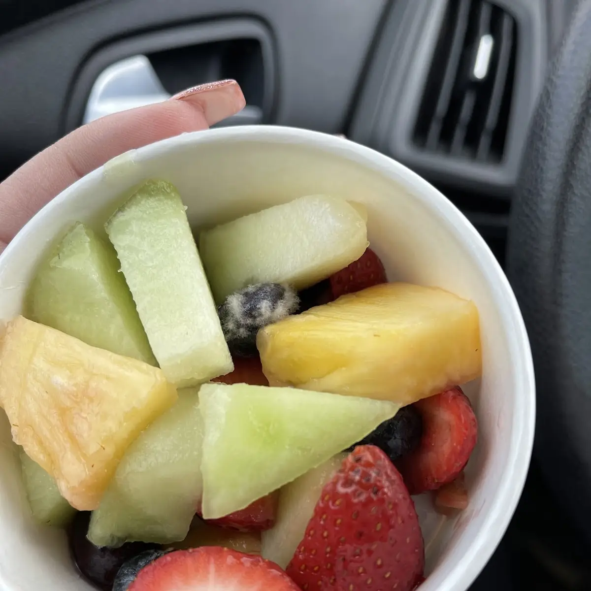 Fruit Cup