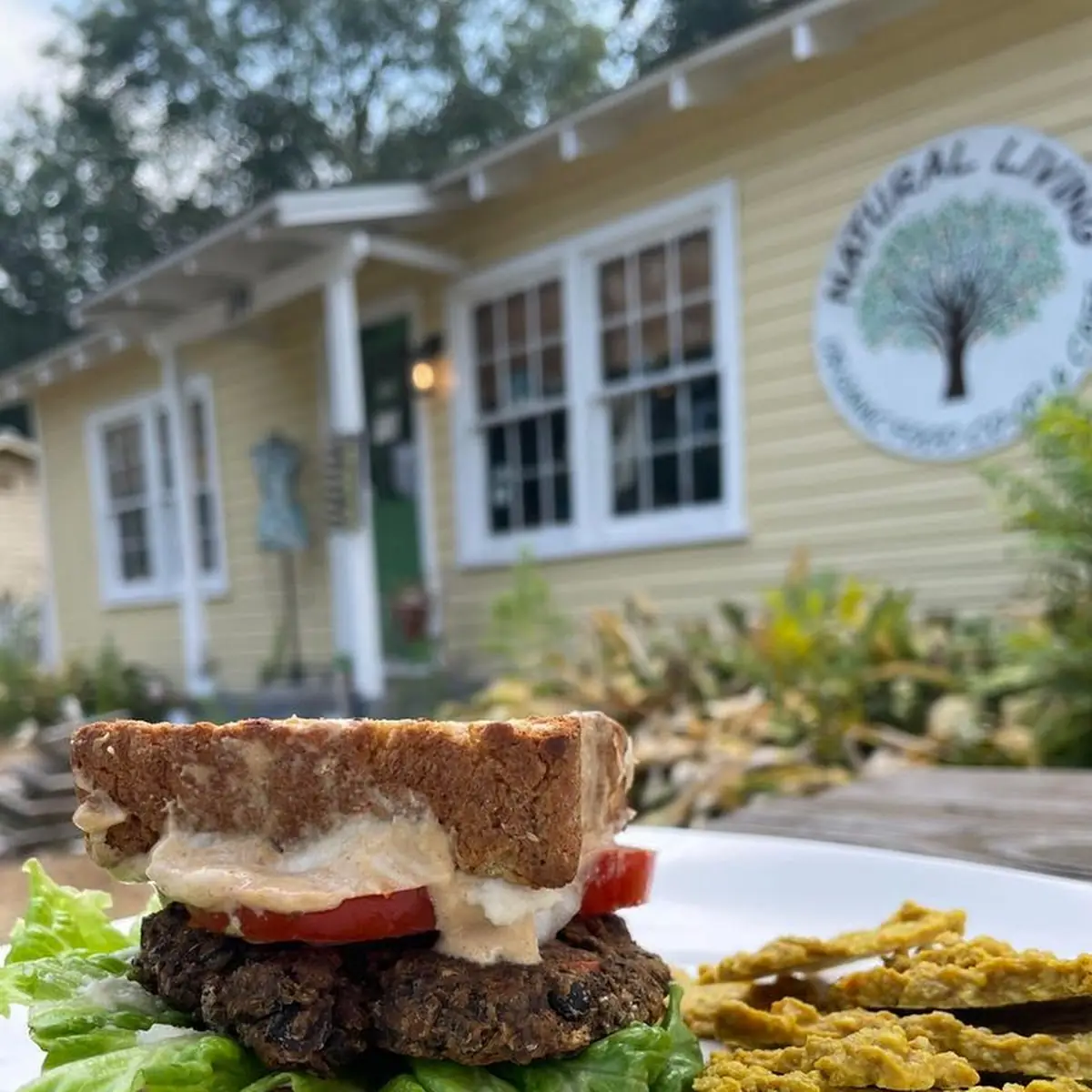 Raw Vegan Garden Burger