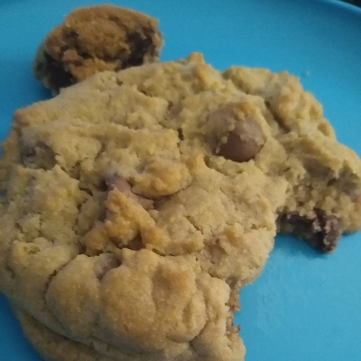 Milk Chocolate Chip Cookie