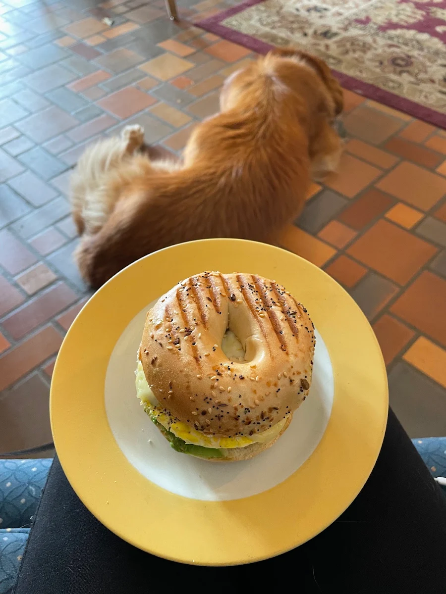 Bagel