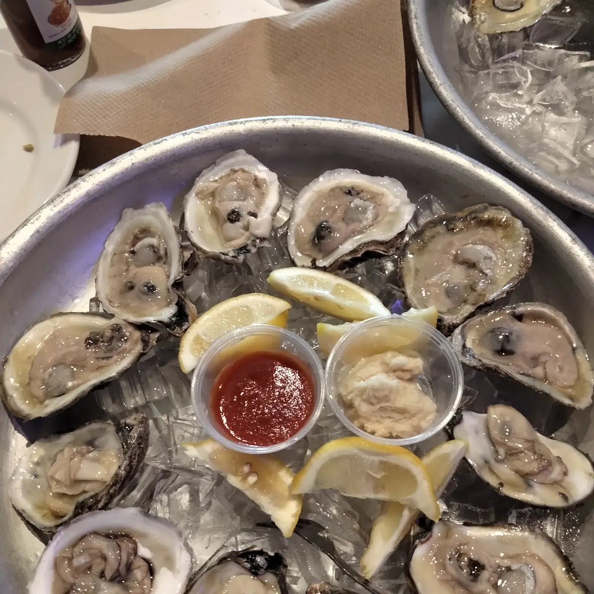 Live Raw Oysters 6