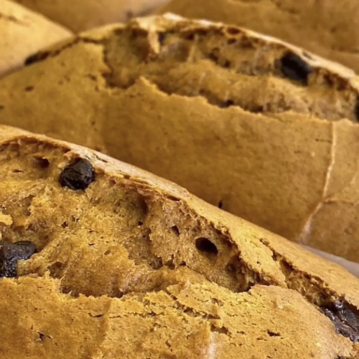 Pumpkin Chocolate Chip