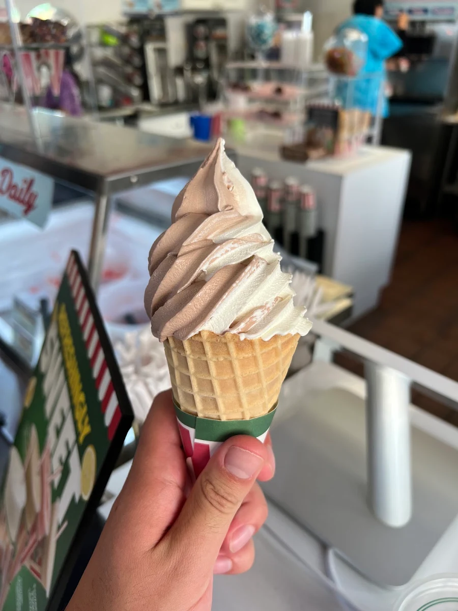 Custard Twist in Waffle Cone