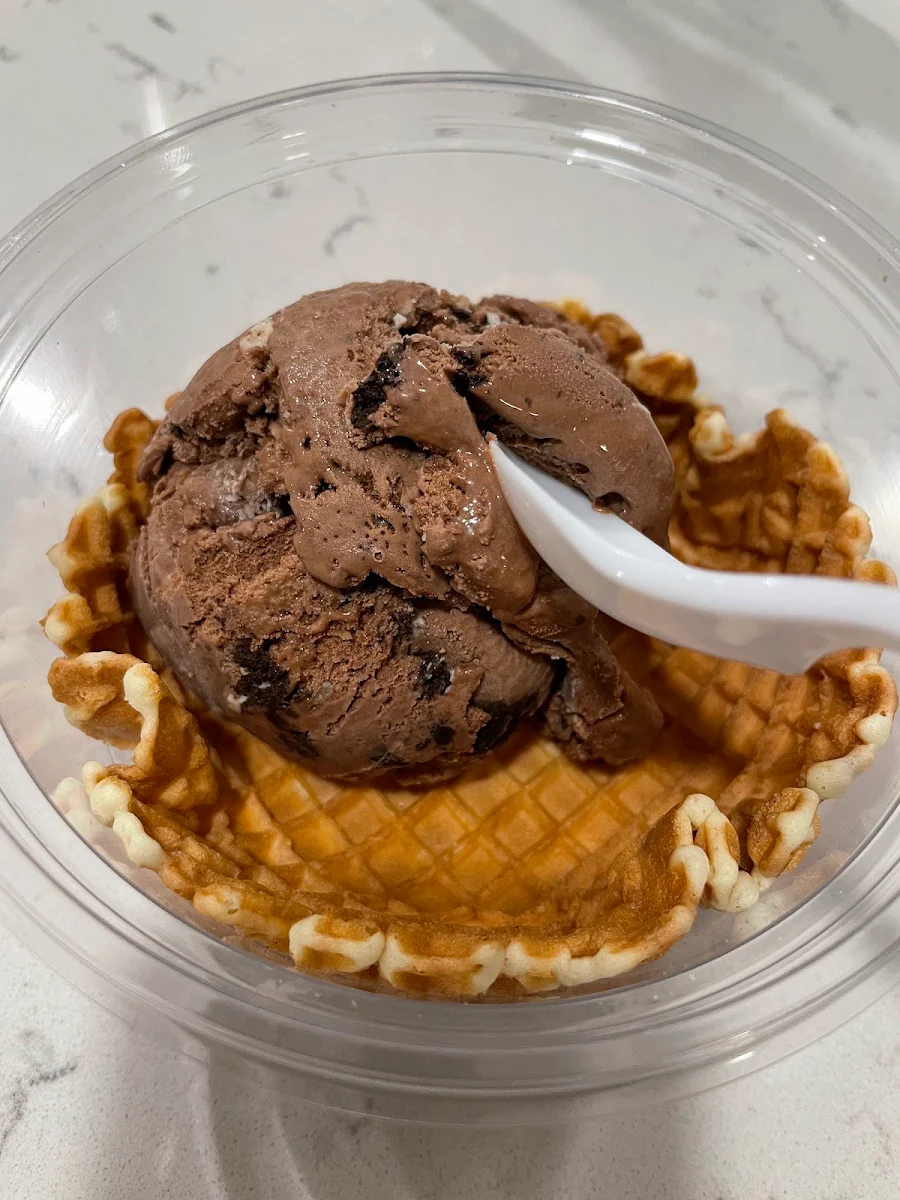 Chocolate Ice Cream