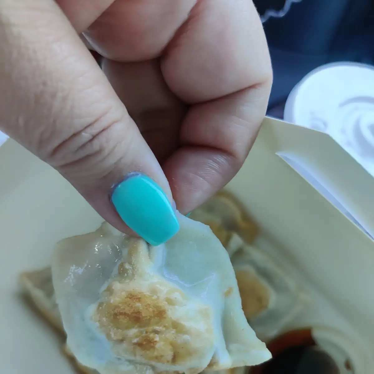 Pan-Fried Pork Dumplings with Sauce