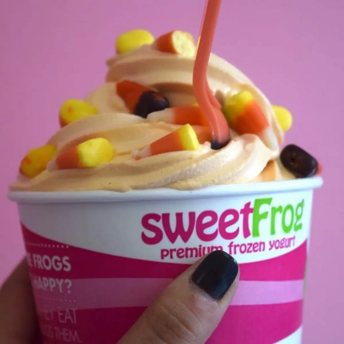 Frozen Yogurt