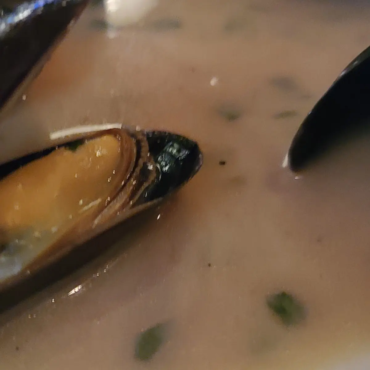 Mussels in White Sauce