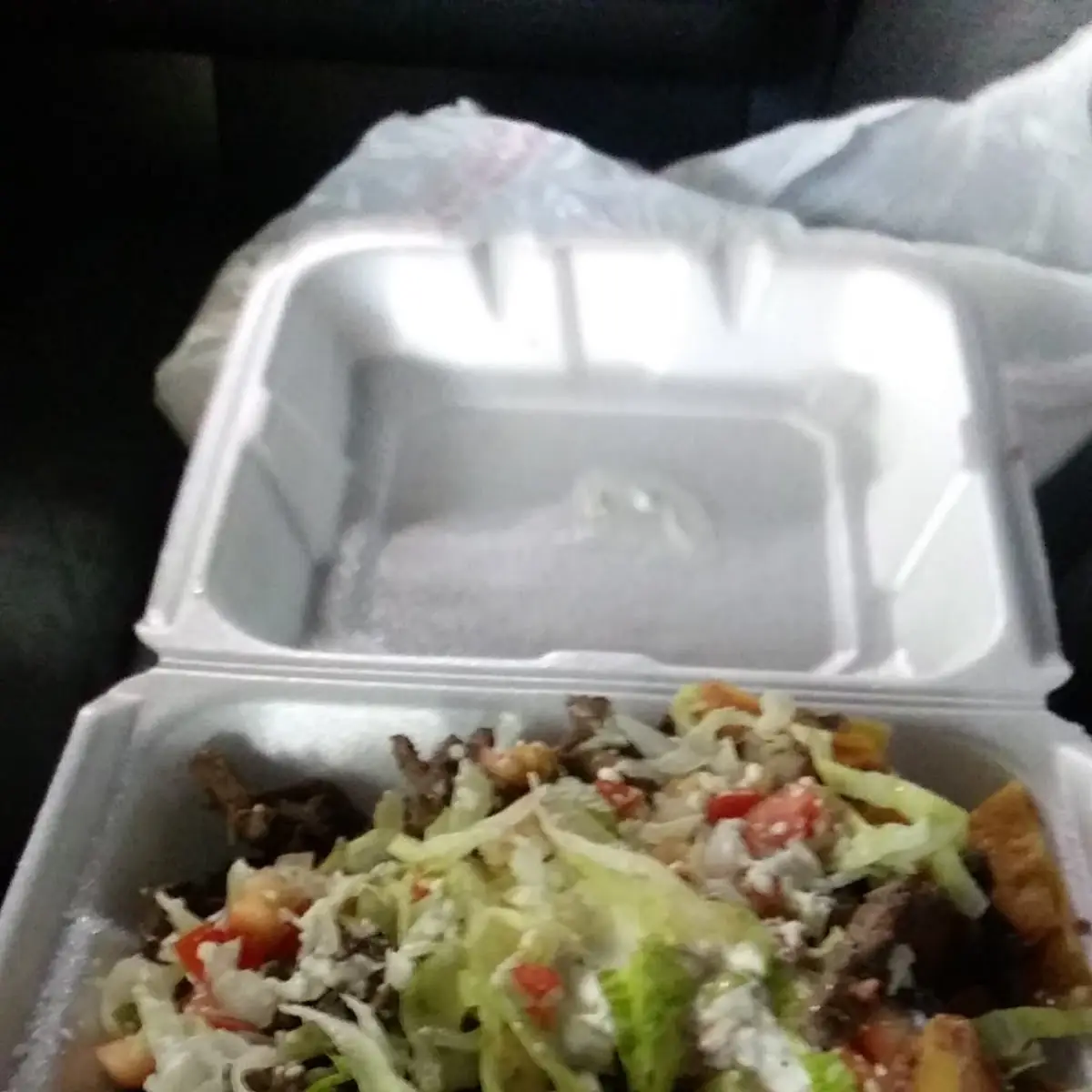 Carne Asada Fries