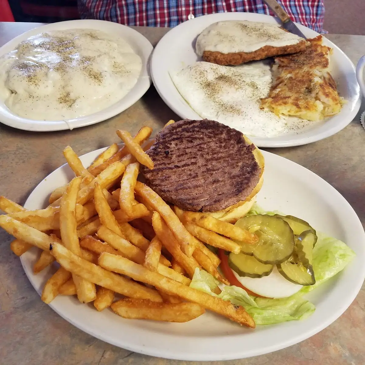 Bison Burger