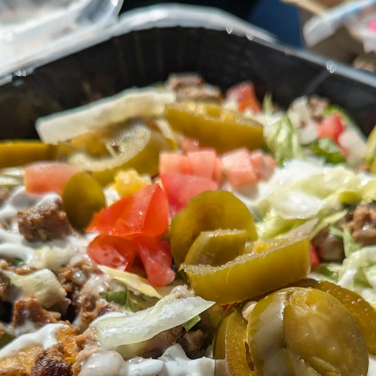 Carne Asada Fries