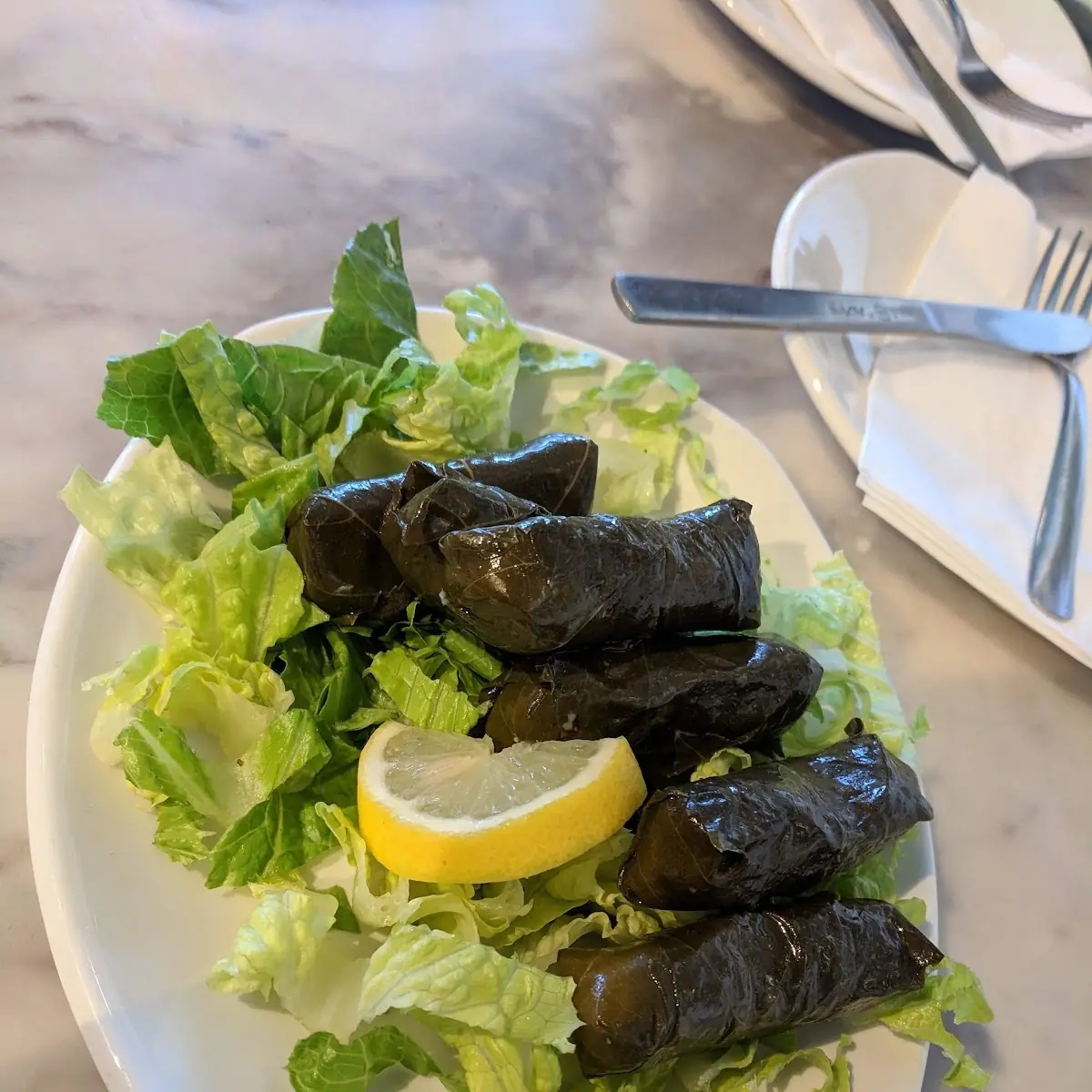 Stuffed Vine Leaves