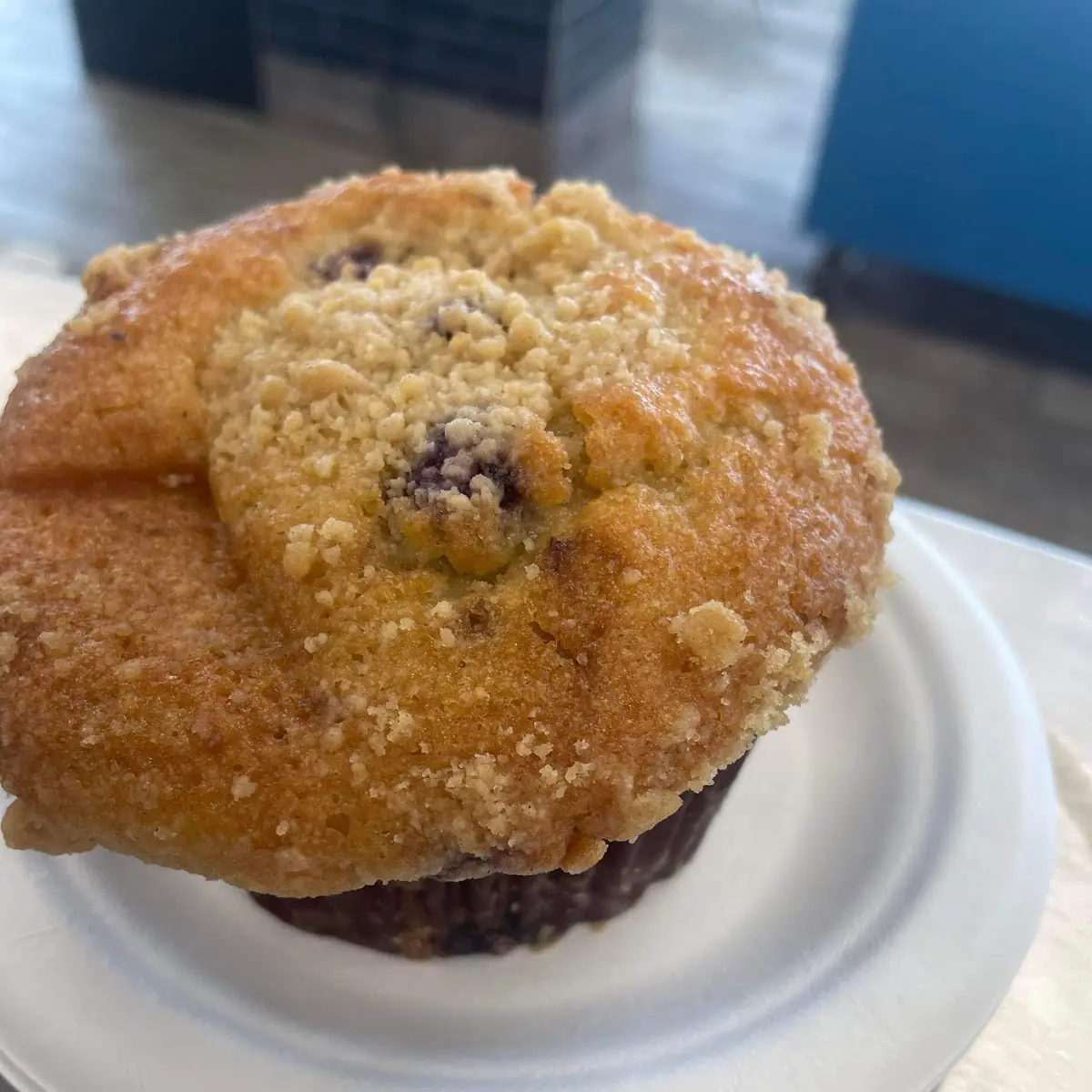 Blueberry Muffin