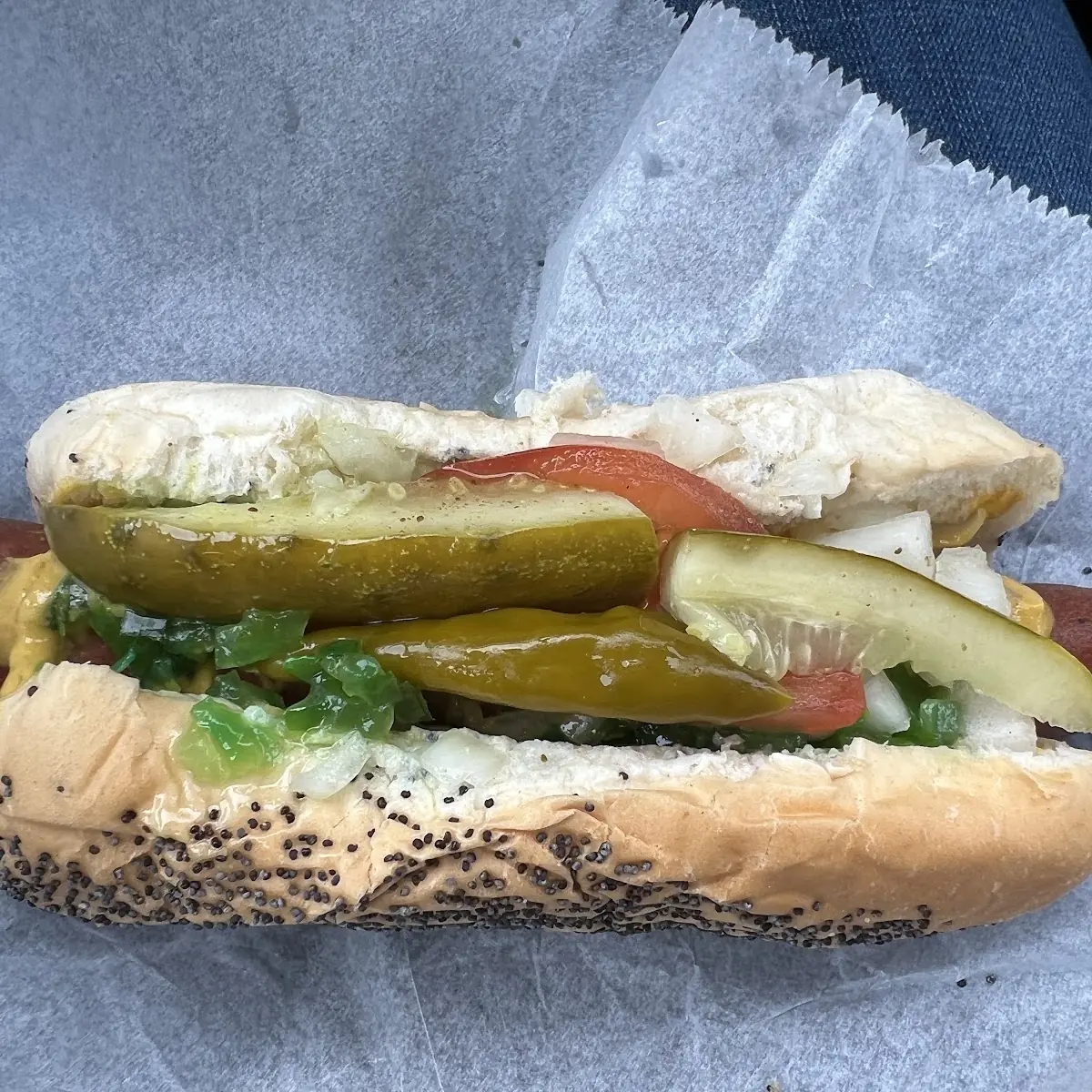 Chicago Dog