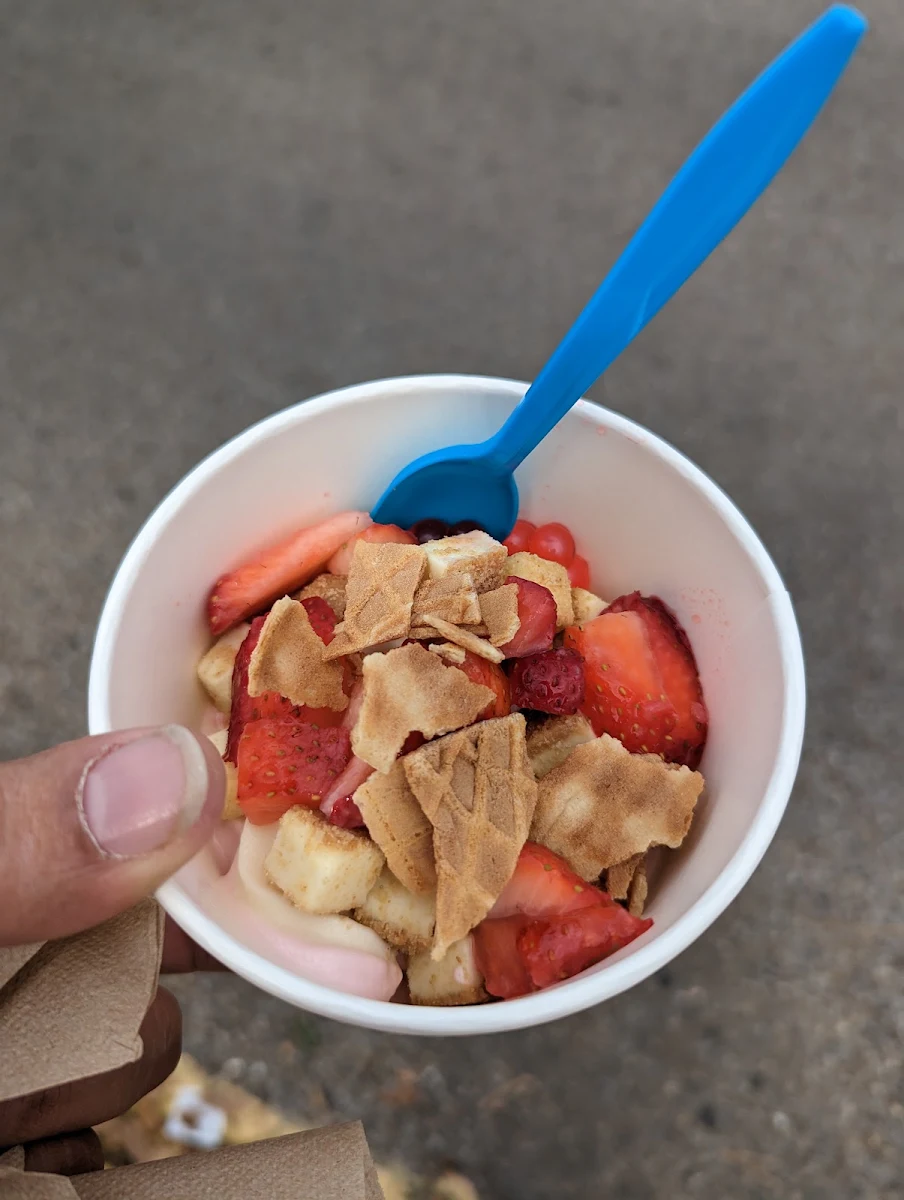 Strawberry Cheesecake Froyo with Assorted Toppings