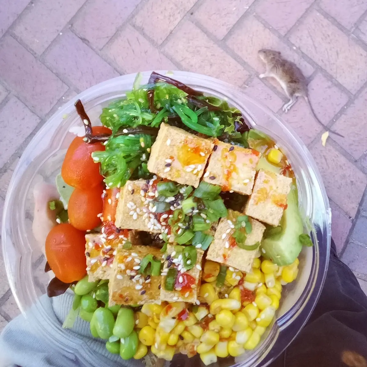 Sumo's Poke Bowl