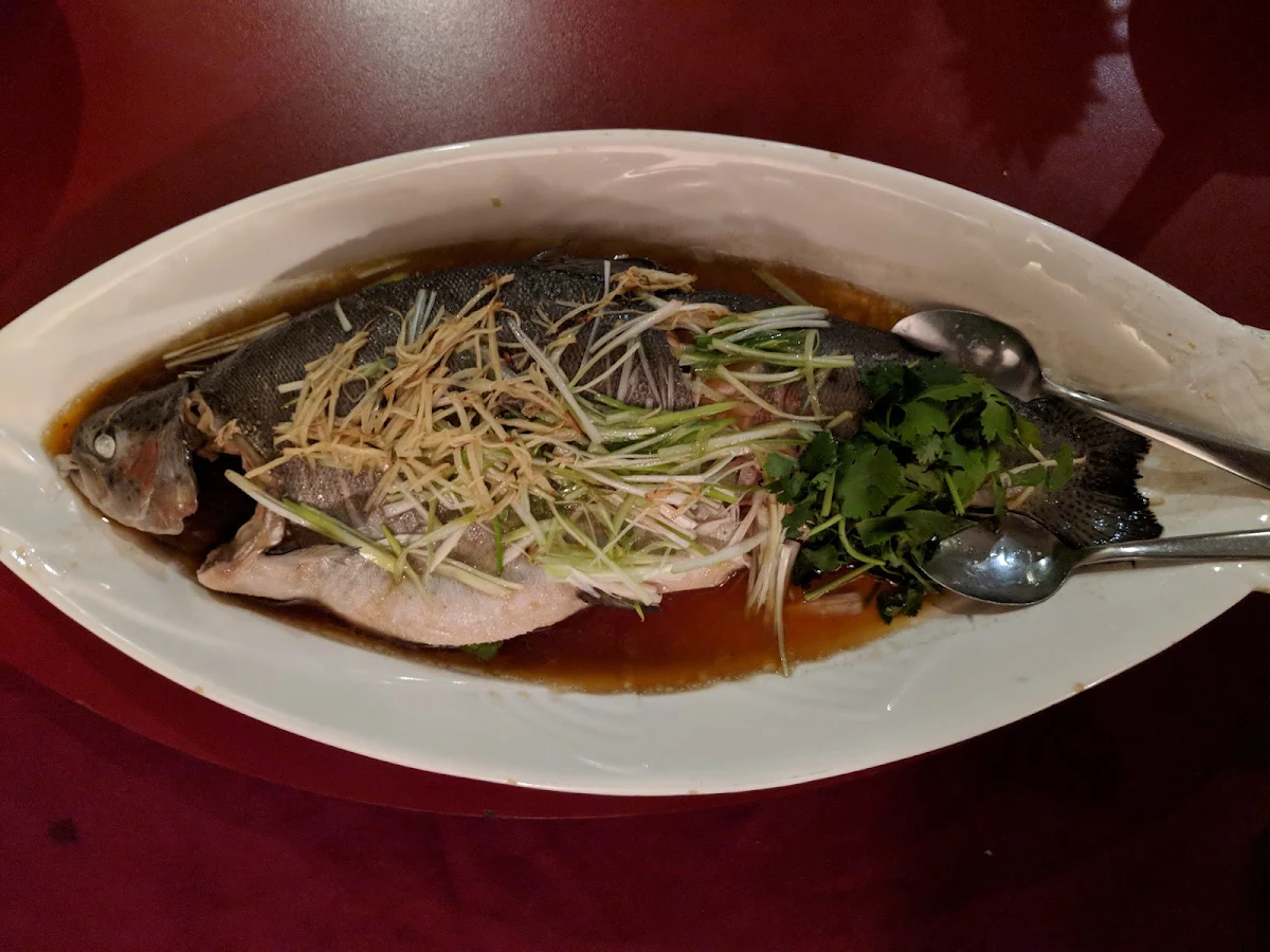 Steamed Rainbow Trout, Hong Kong Restaurant
