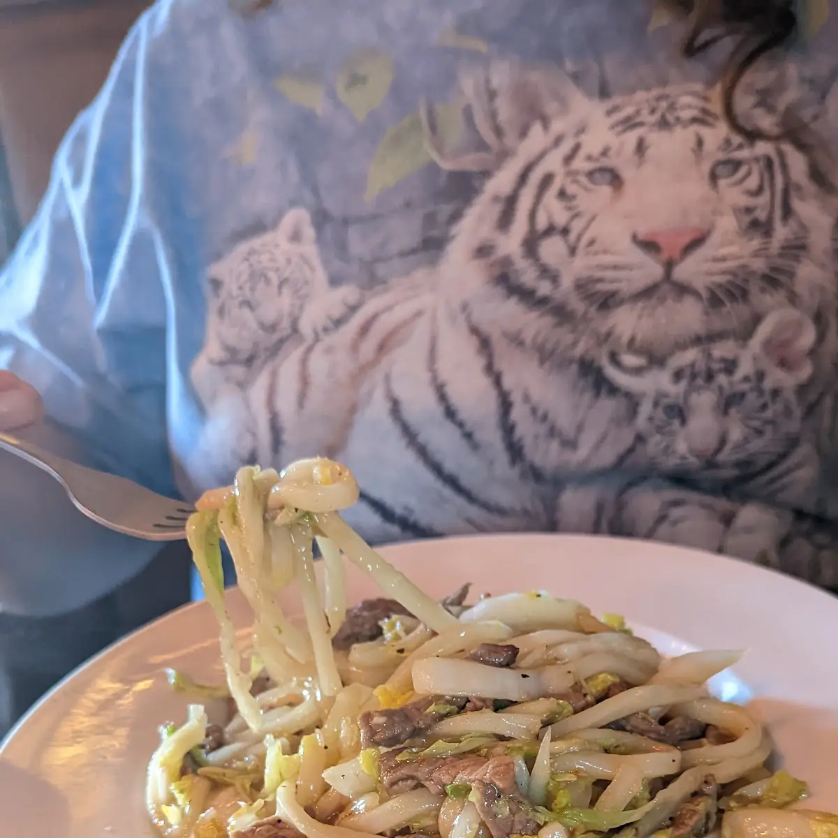 Beef Yaki Udon