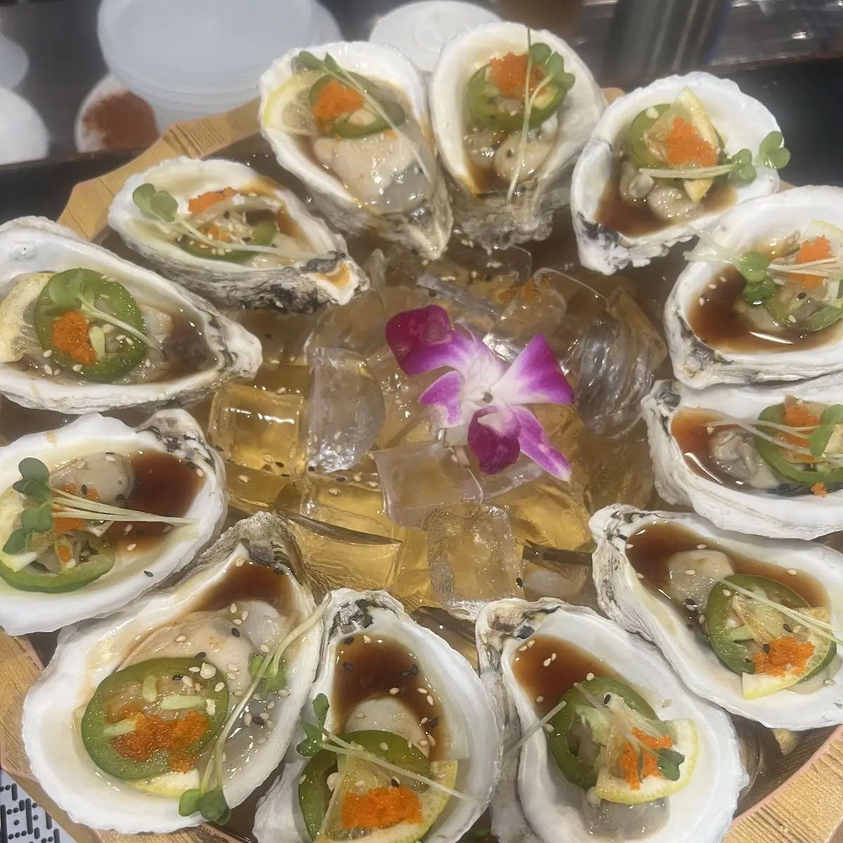 Fresh Oysters