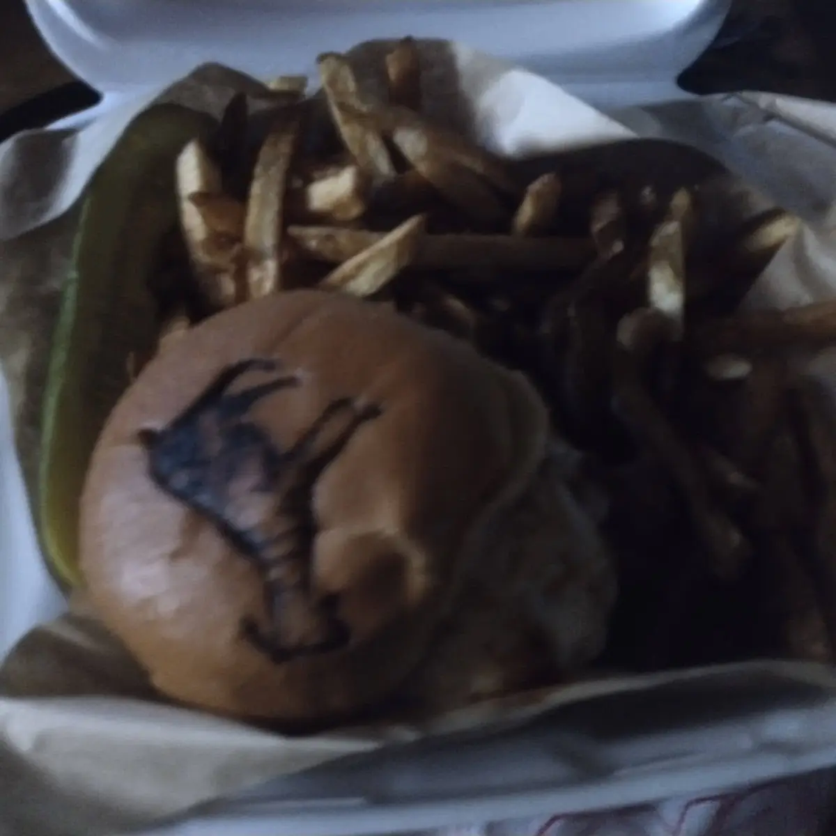 Cheese Burger and Fries