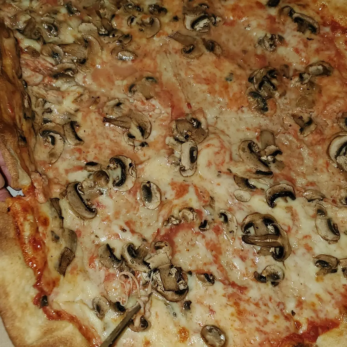 Mushroom Pizza