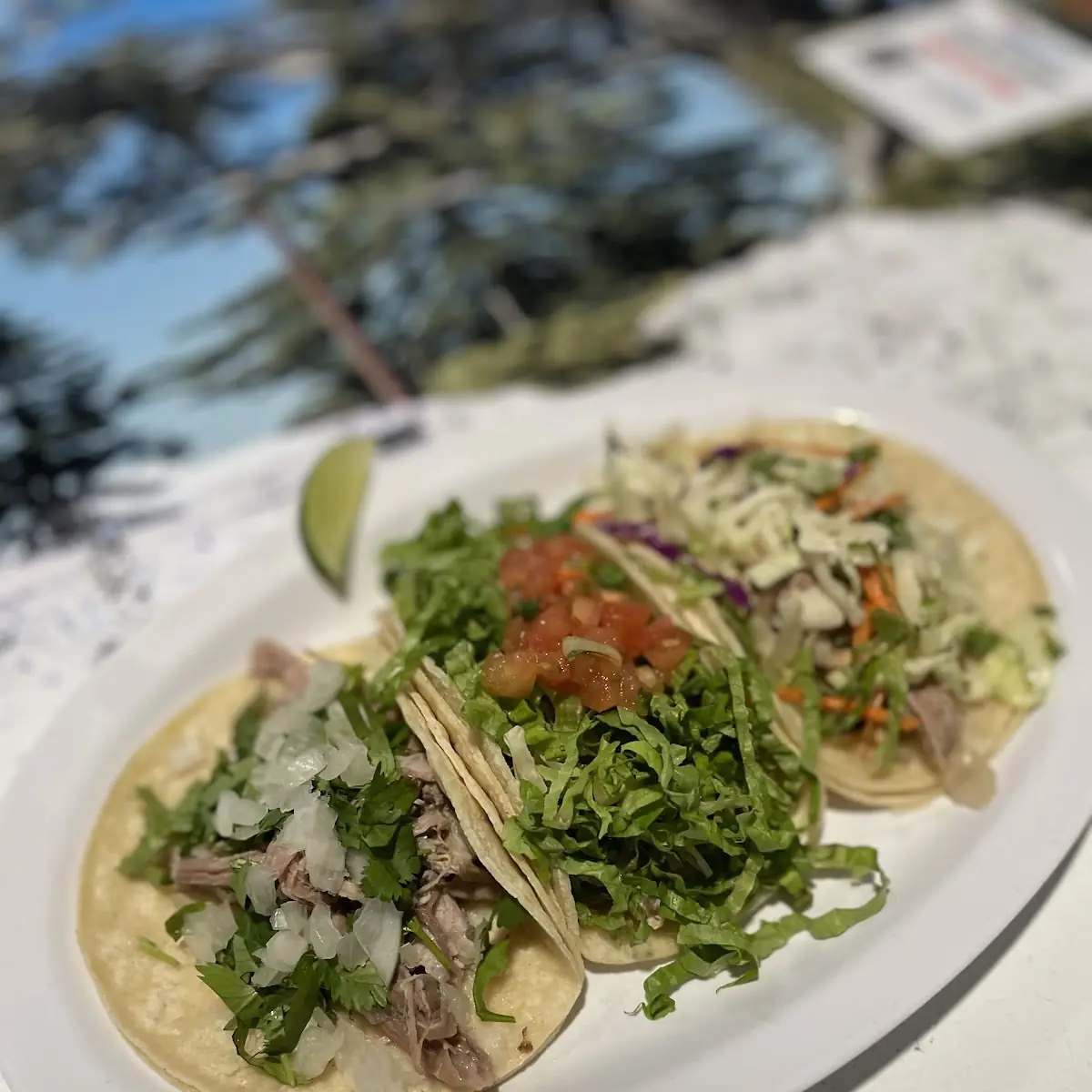 Fuego Carnitas Taco