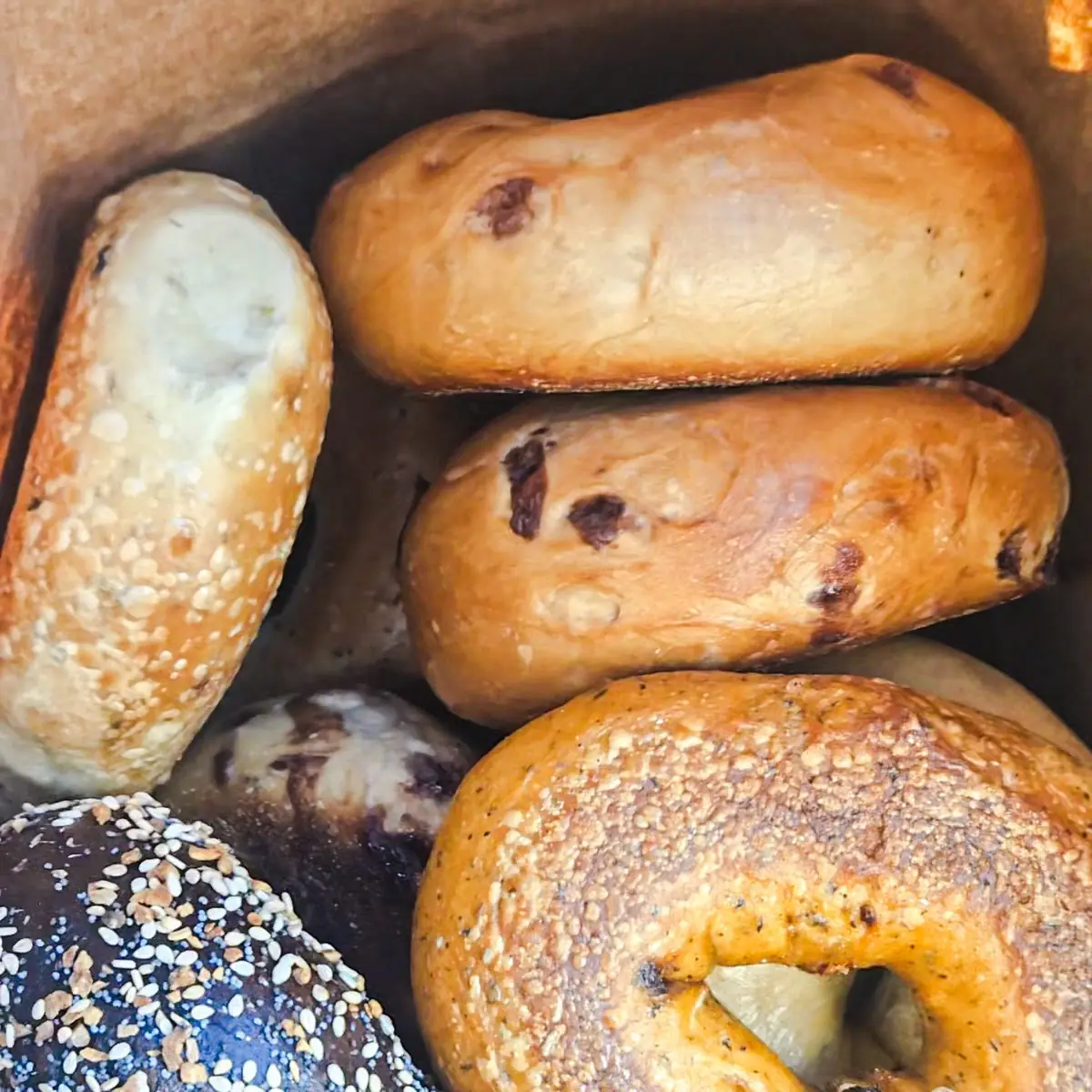 Dozen Bagels