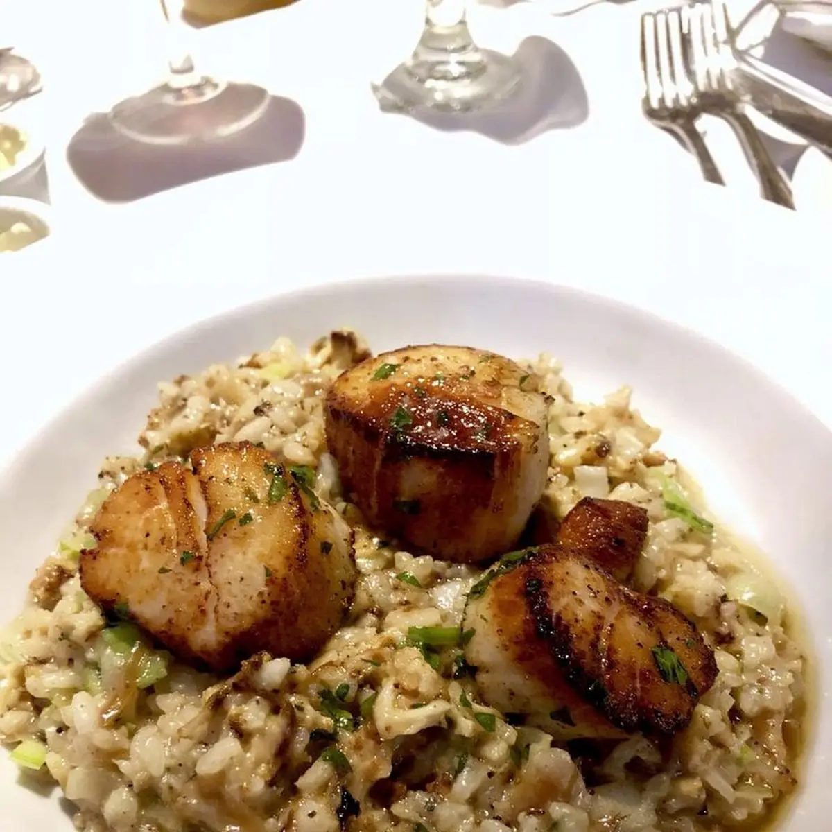 Pan Seared Scallops Risotto