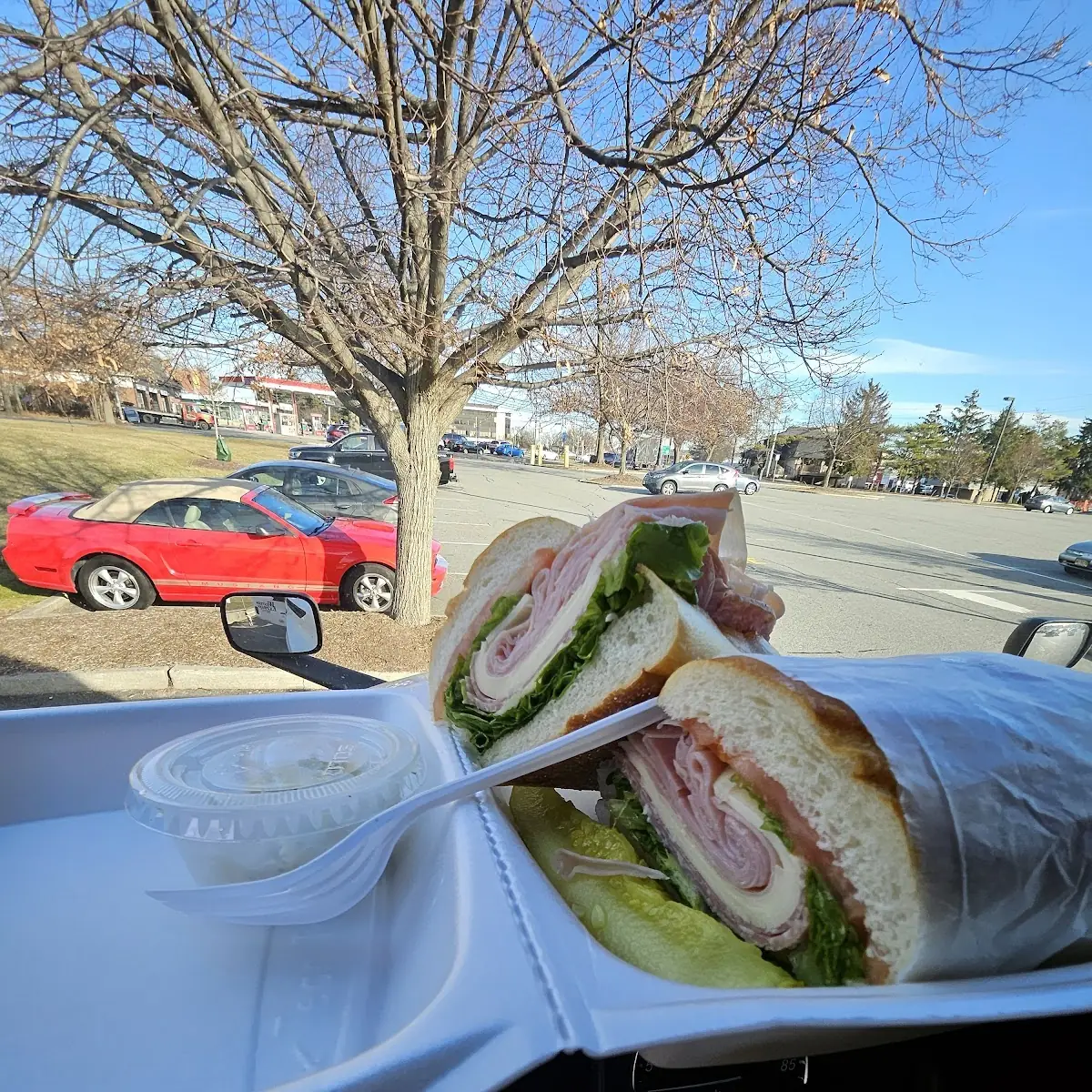 Italian Sub