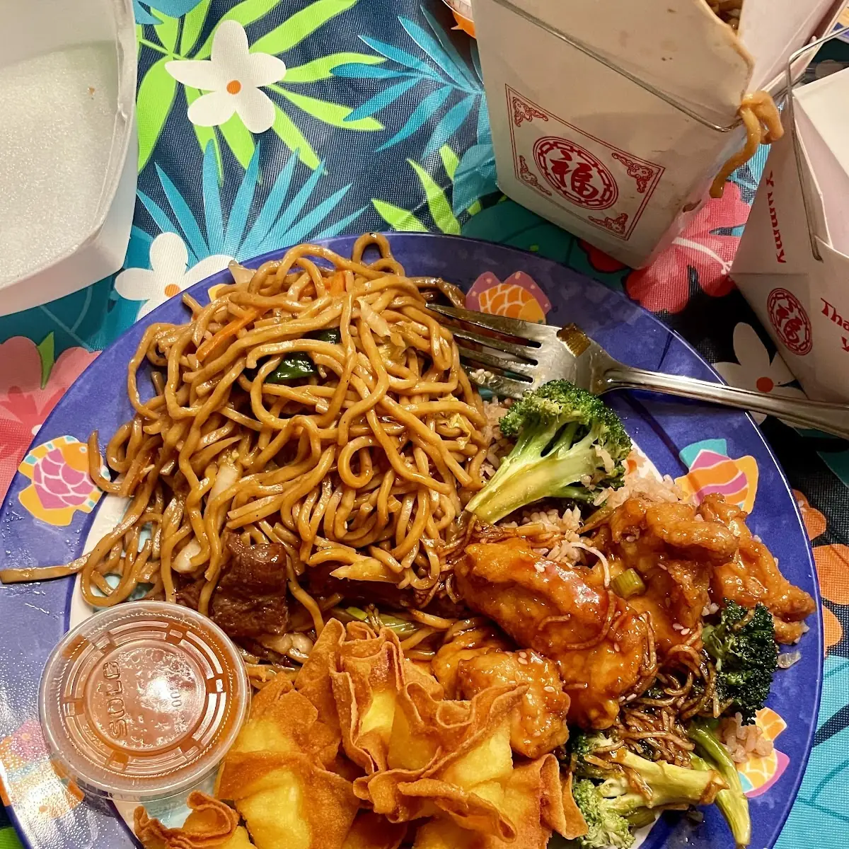House Special Pan Fried Noodles