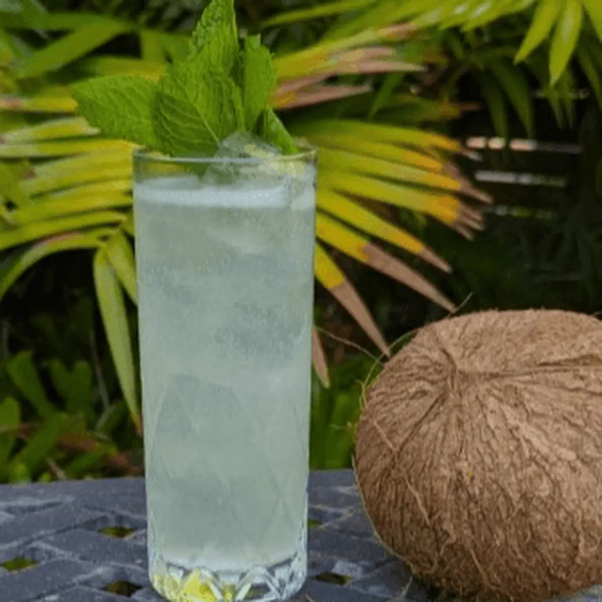 Mojito in Town