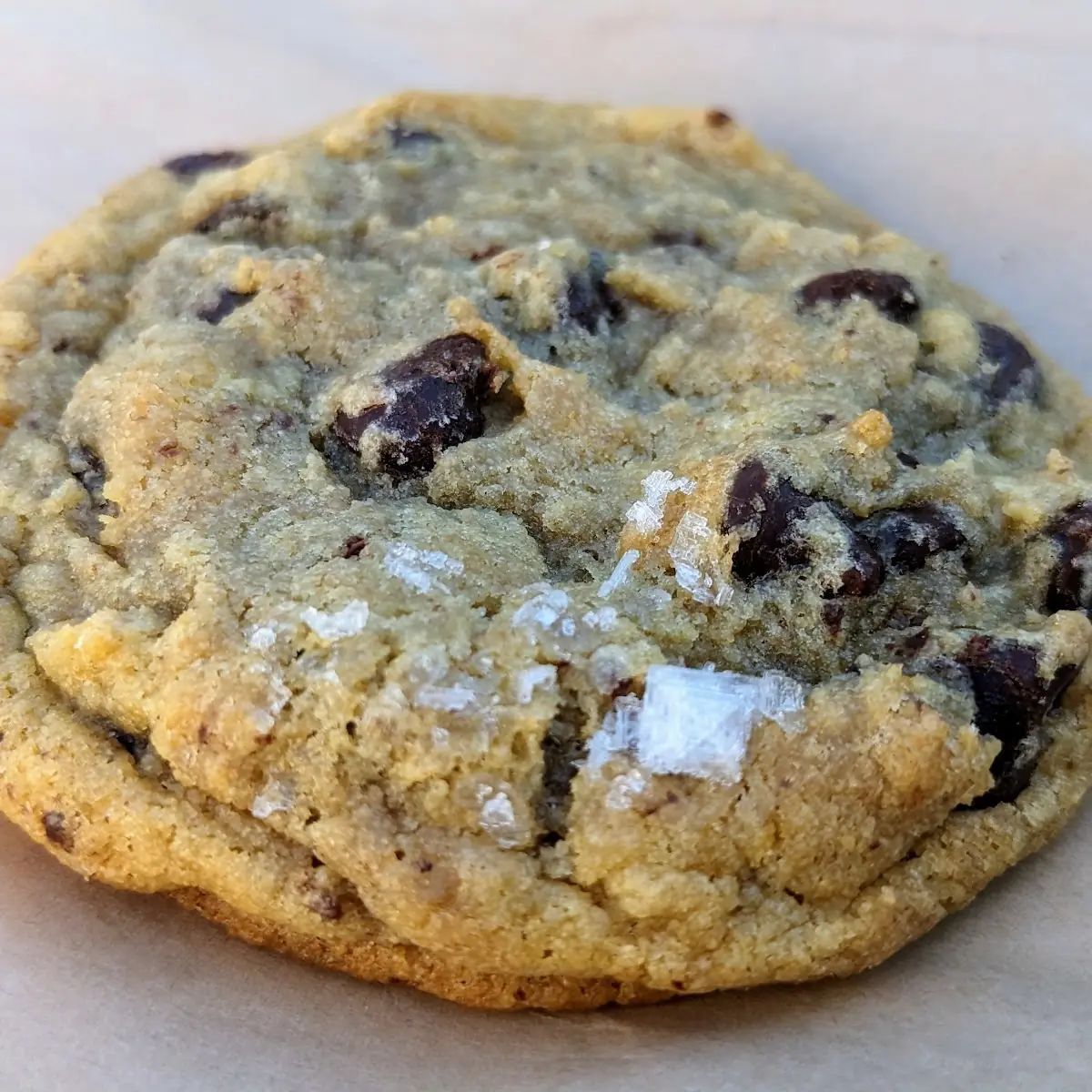 Whole Wheat Chocolate Chip Cookie