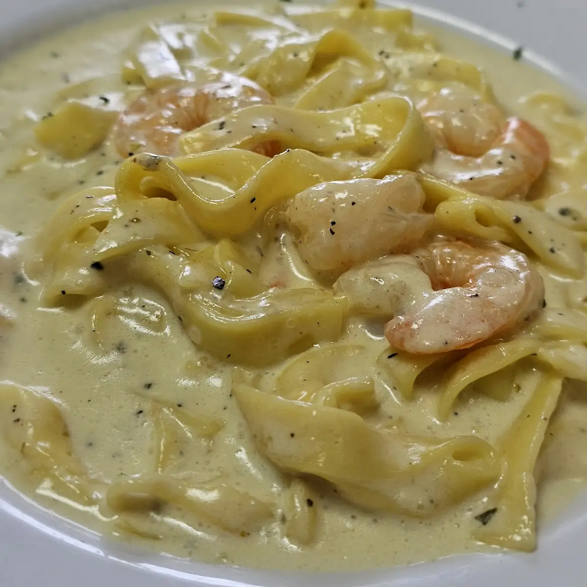 Shrimp Alfredo