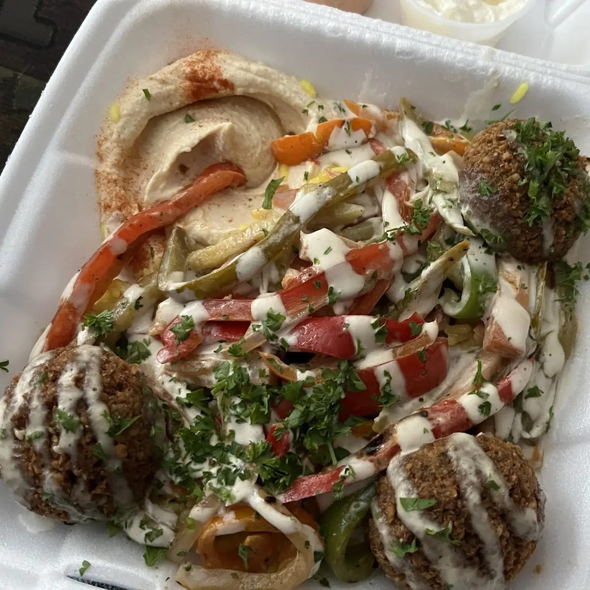 Falafel Plate