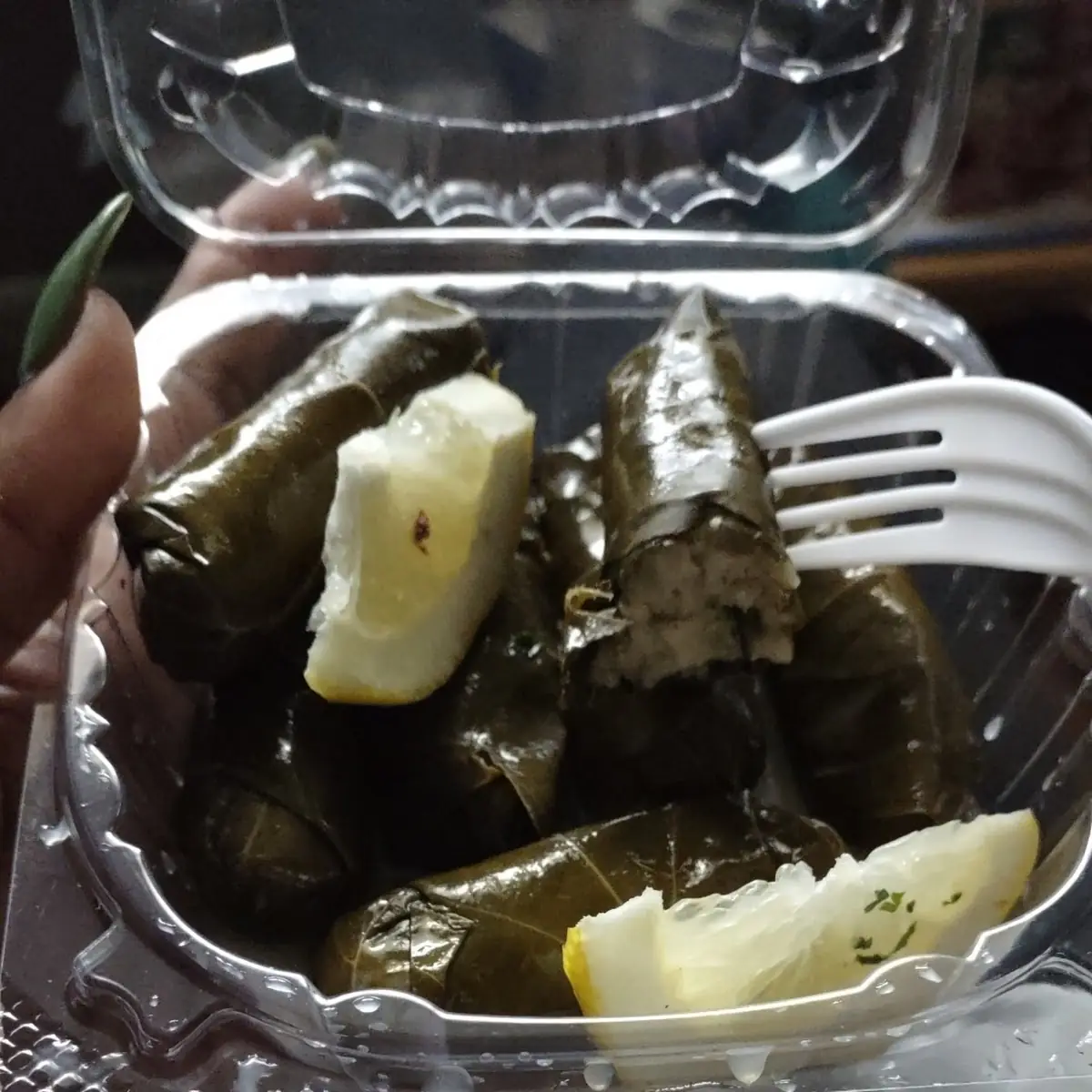 Vegetarian Grape Leaves
