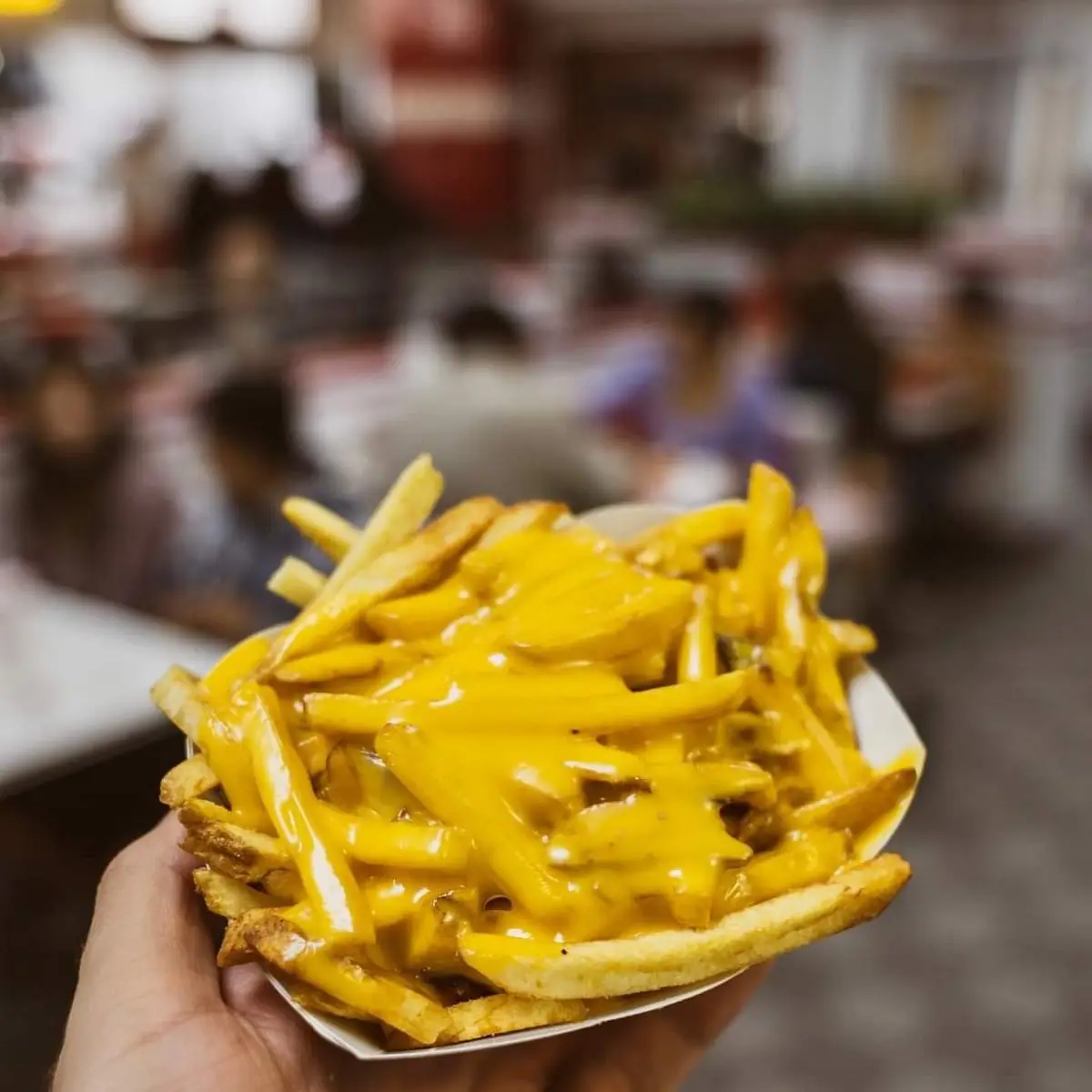 Double Double Cheese Burger and Fries