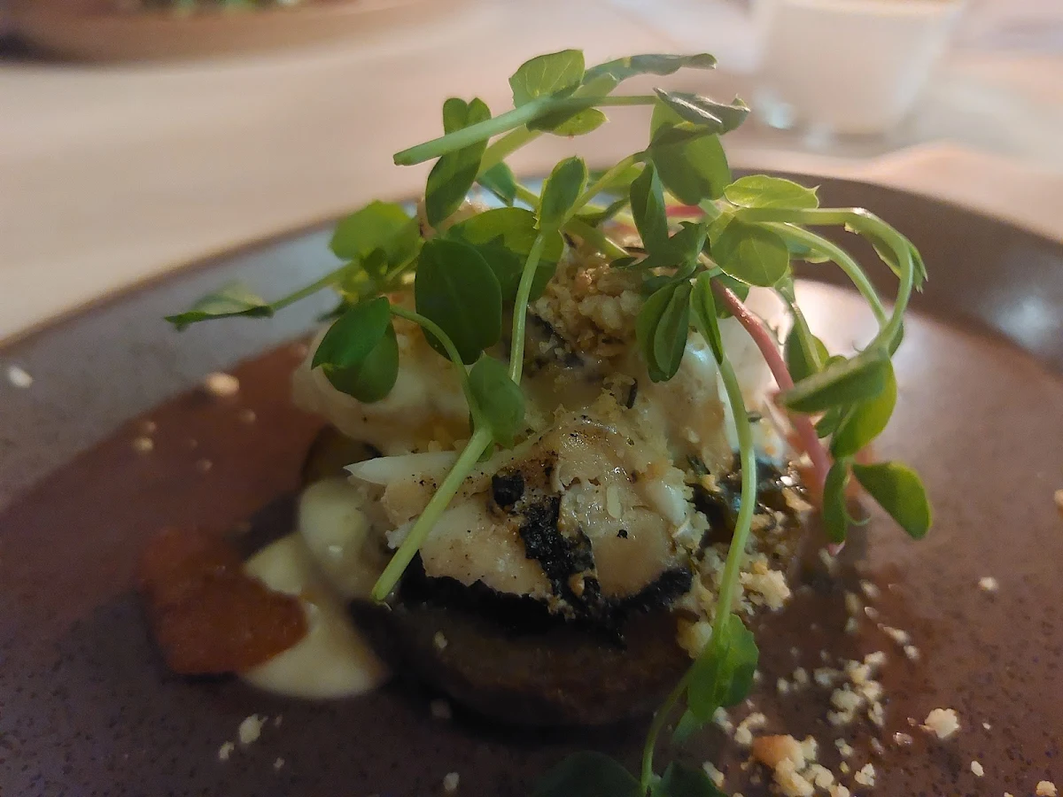 Homage to Cod Au Gratin Special Event