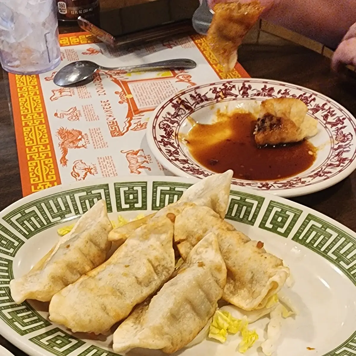 Pan Fried Dumplings