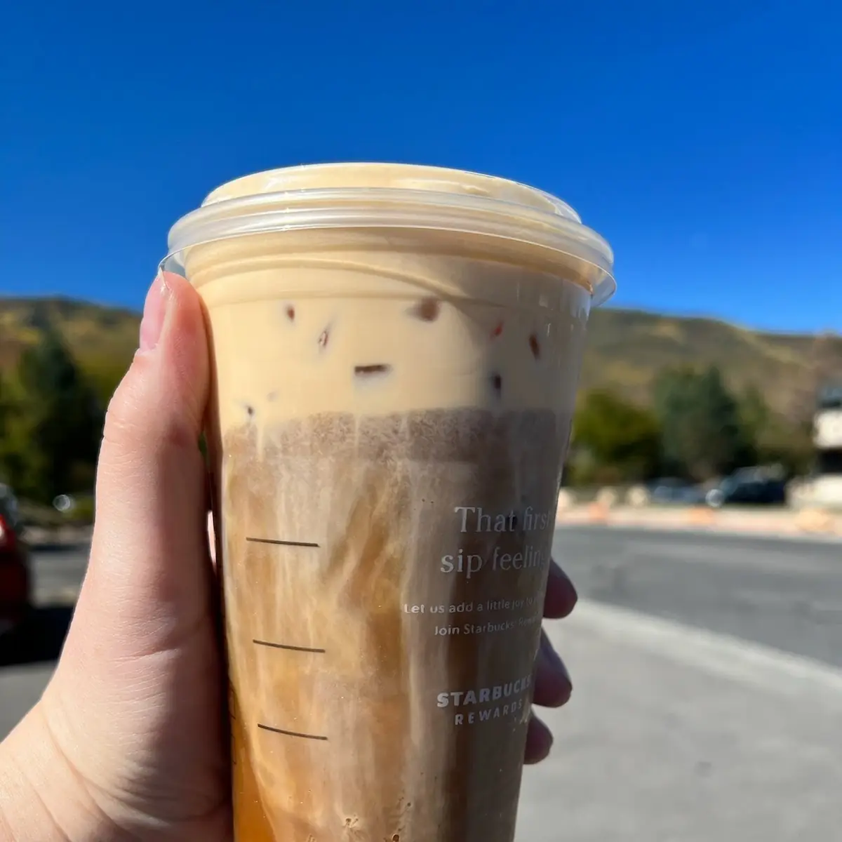 Pumpkin Cream Cold Brew