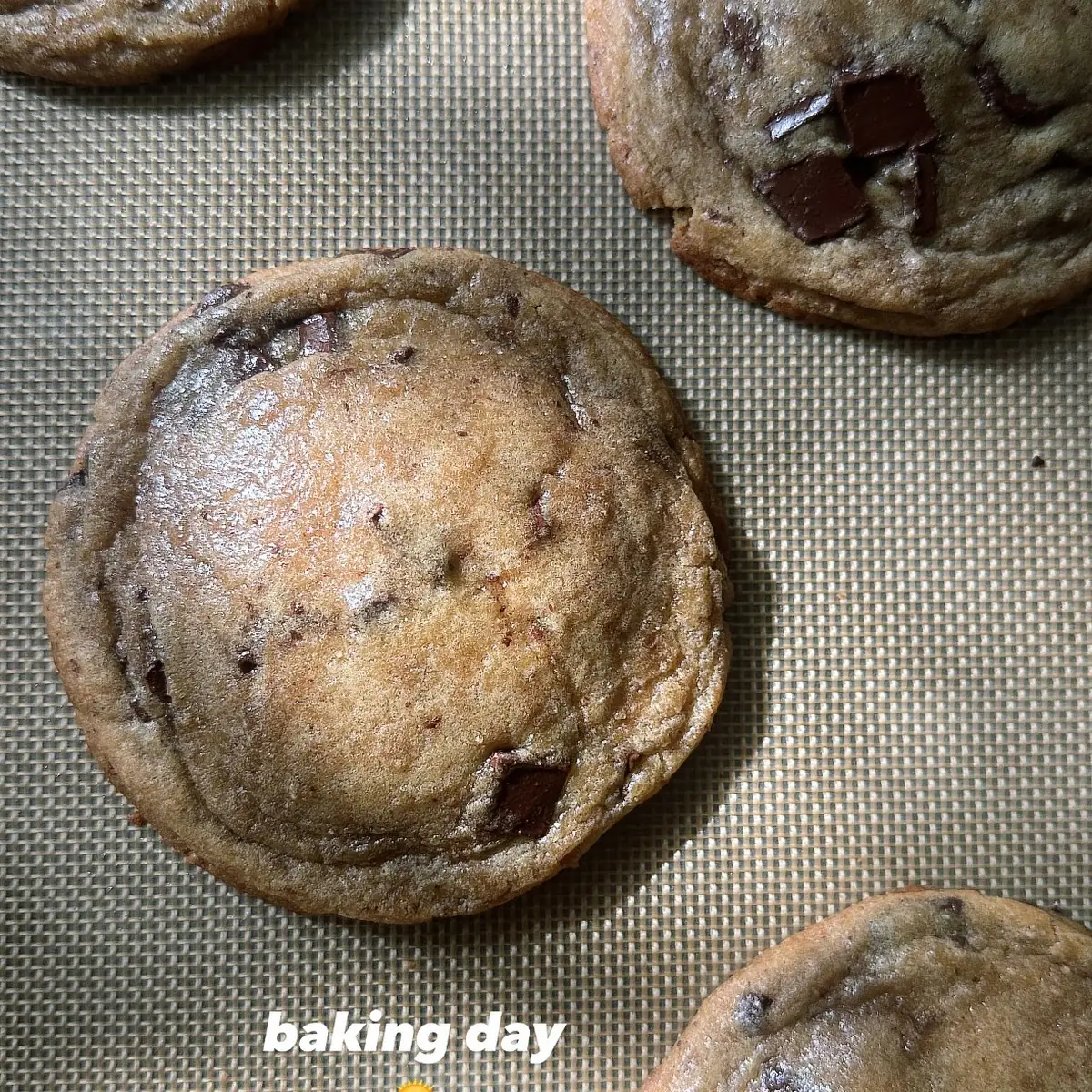 Chocolate Chip Cookie