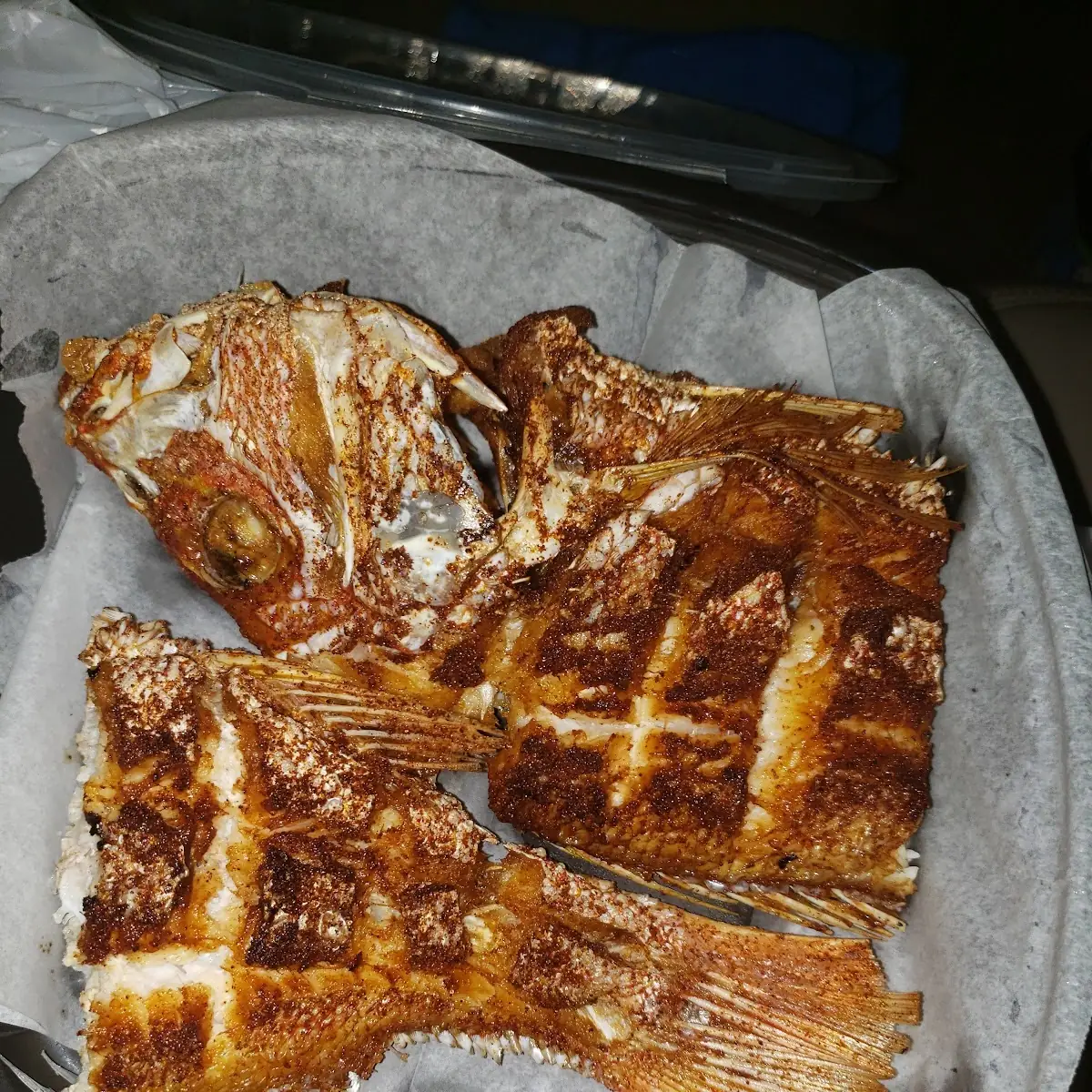 Red Snapper