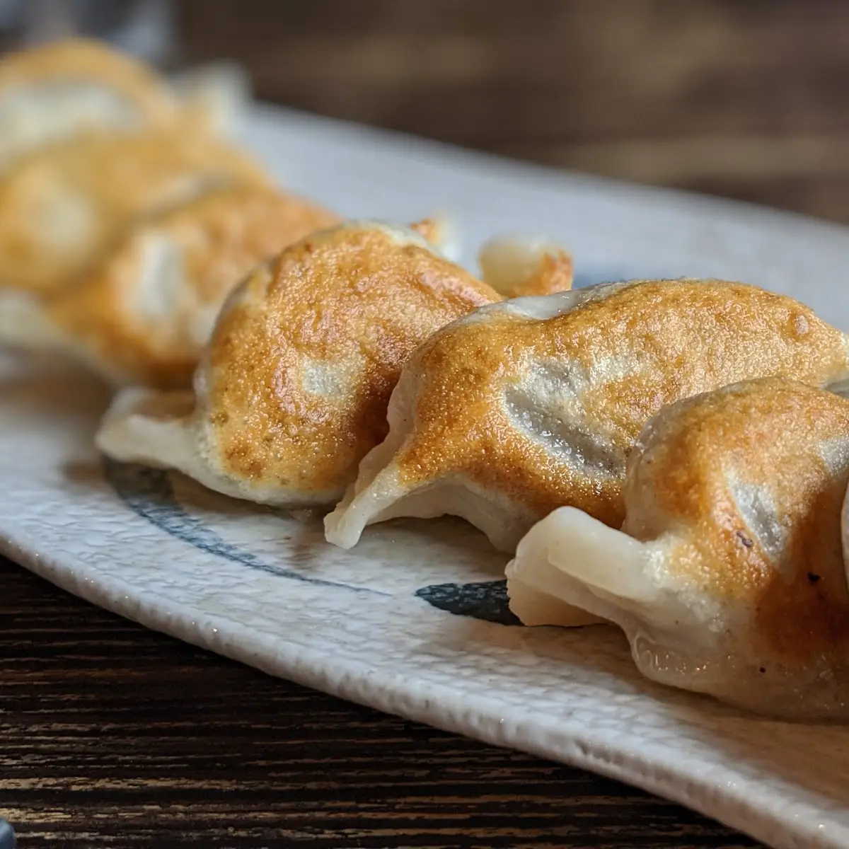 Pan Fried Dumplings