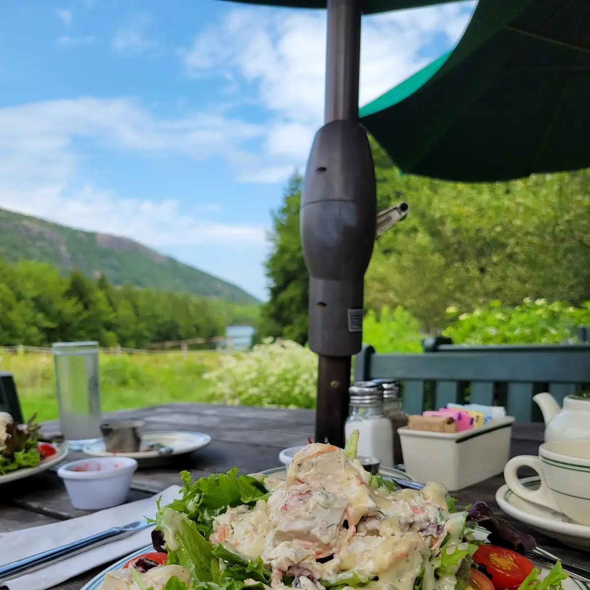 Organic Chicken Salad