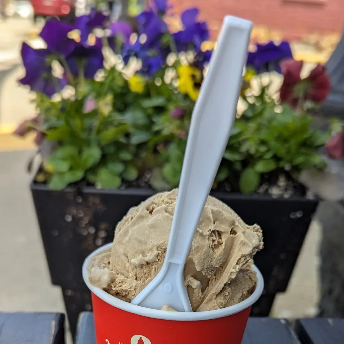 Gelato