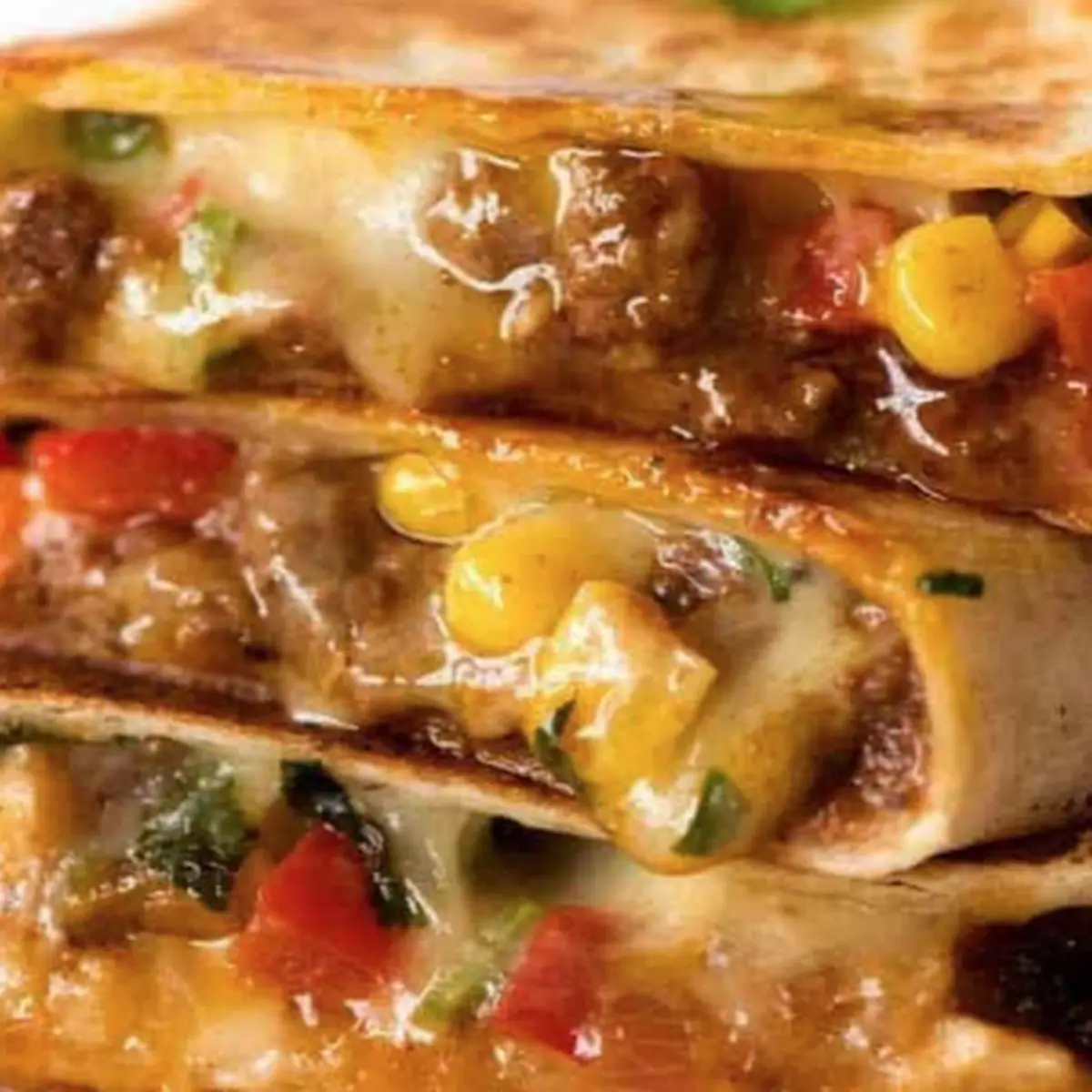 Stuffed Quesadilla