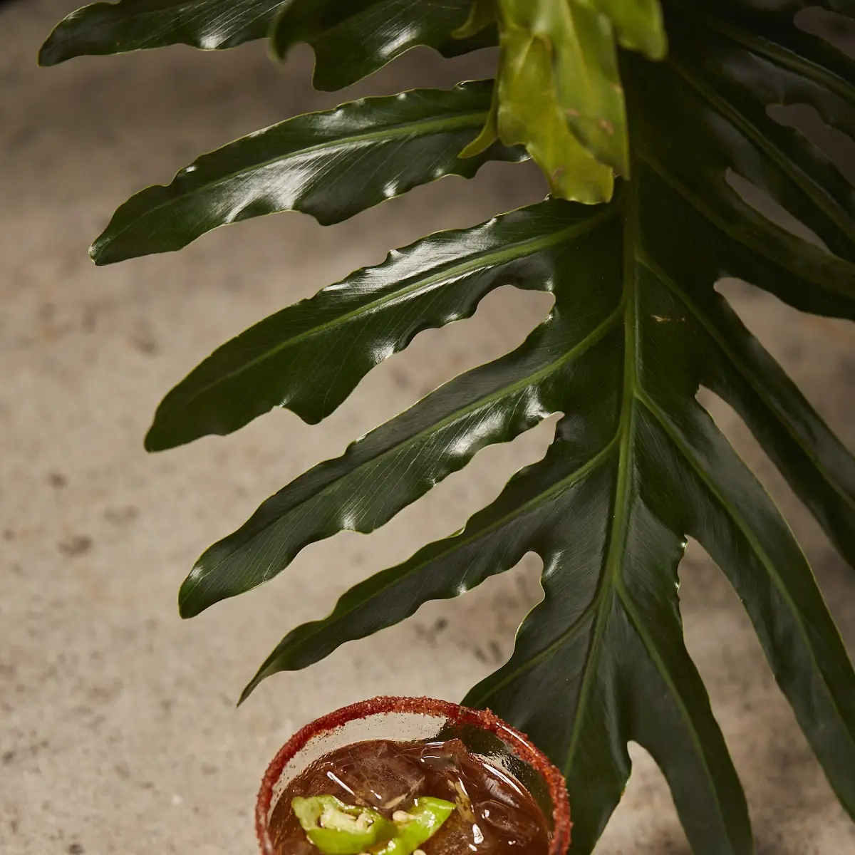 Gazpacho Bloody Mary