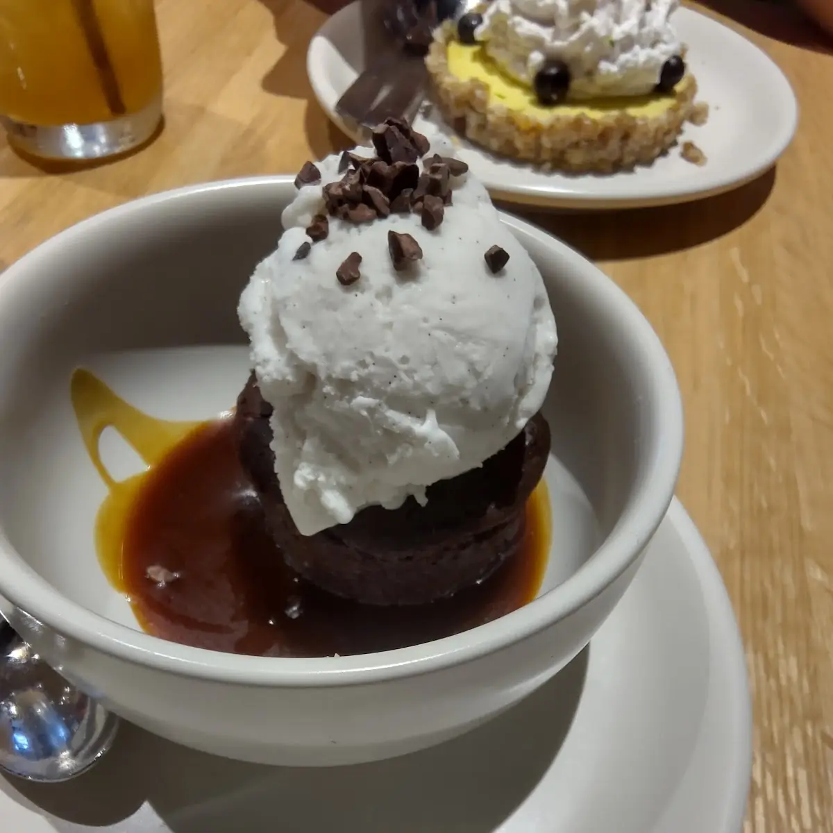 Chocolate Brownie