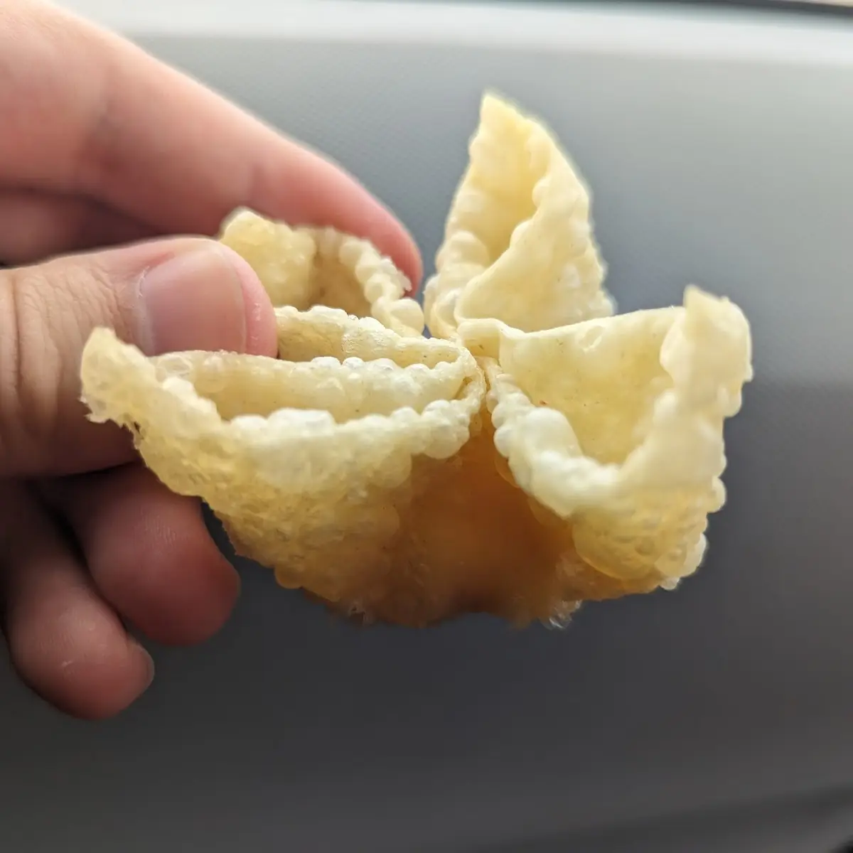 Crab Rangoon