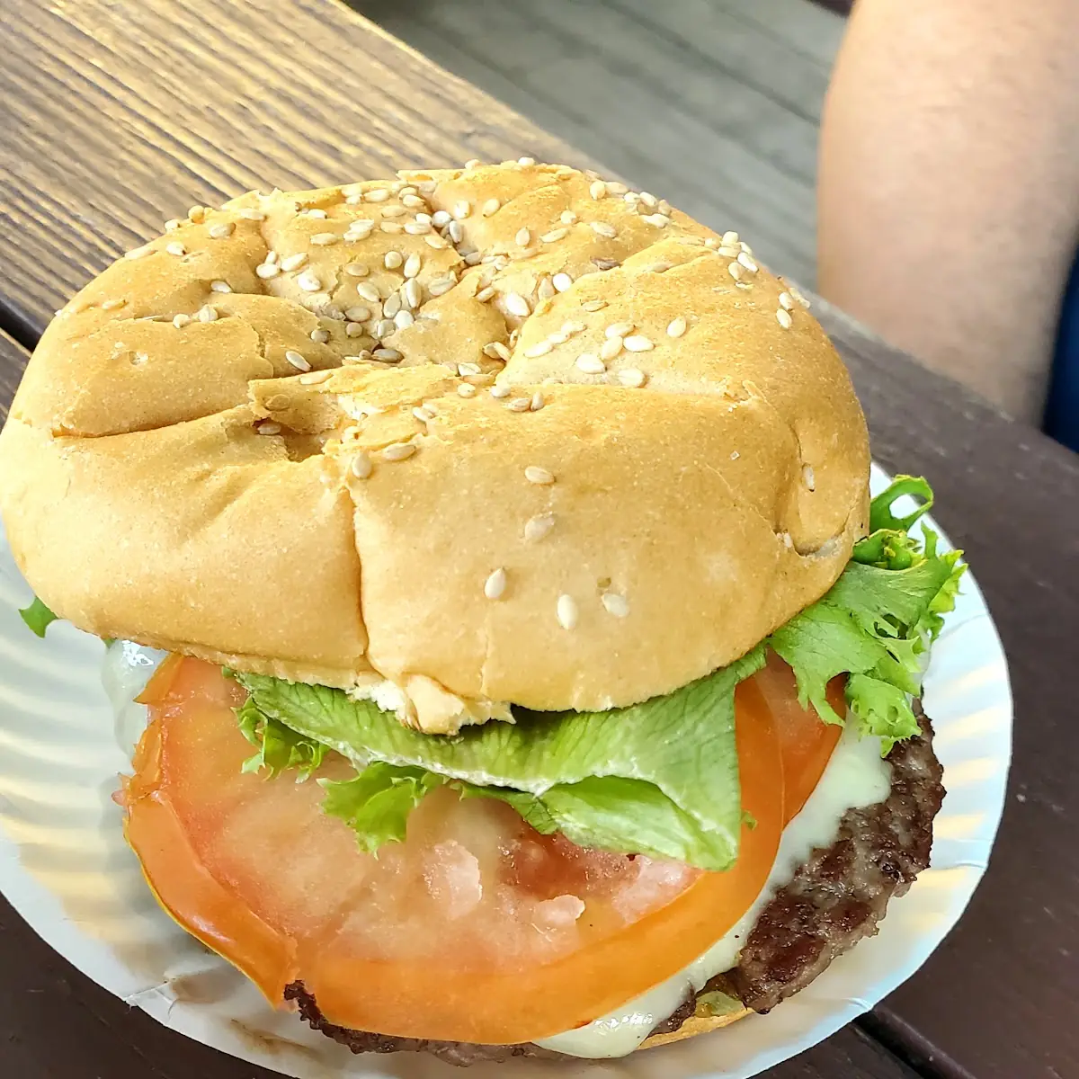 Cheese Burger
