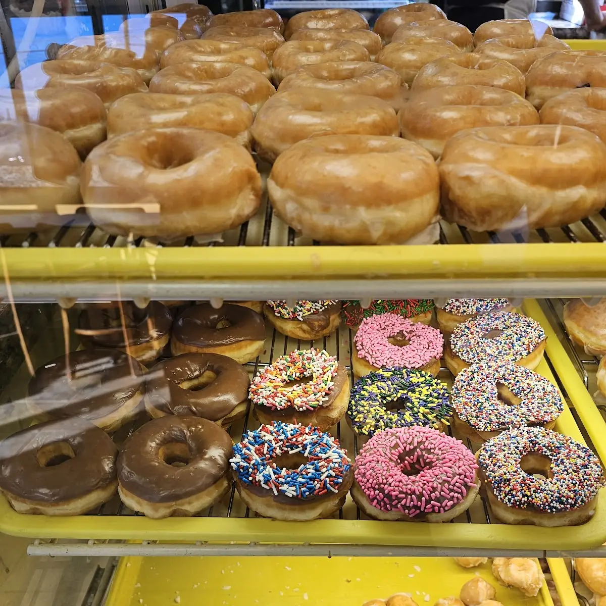Doughnut